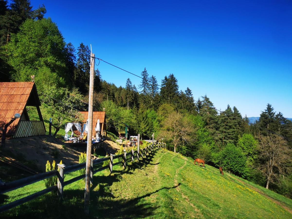 Glamping Mm Hotel Muta Exterior photo